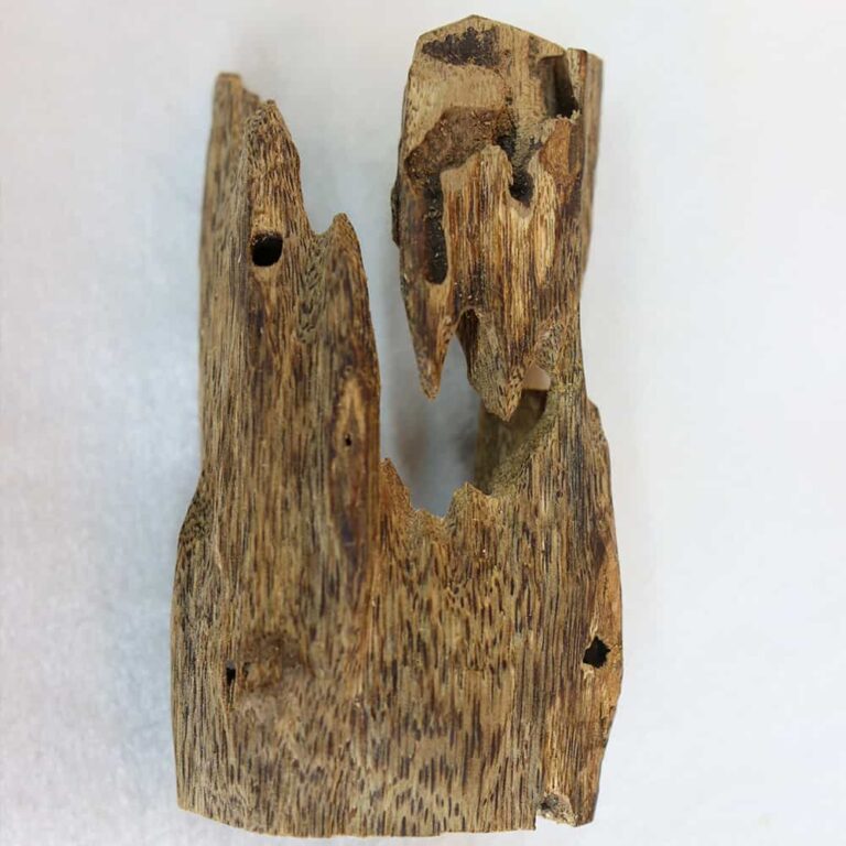02 Agarwood Blocks 1