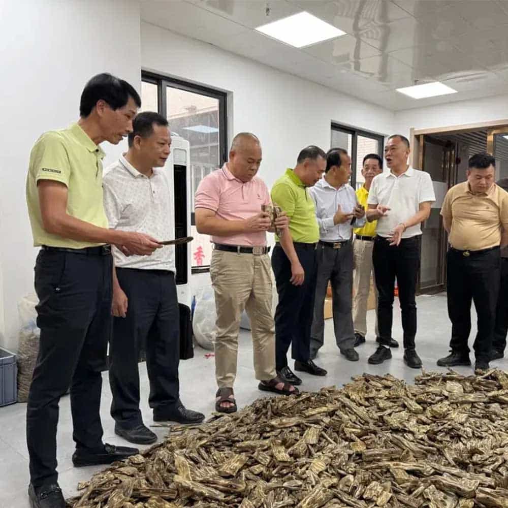 Visiting the agarwood industry park