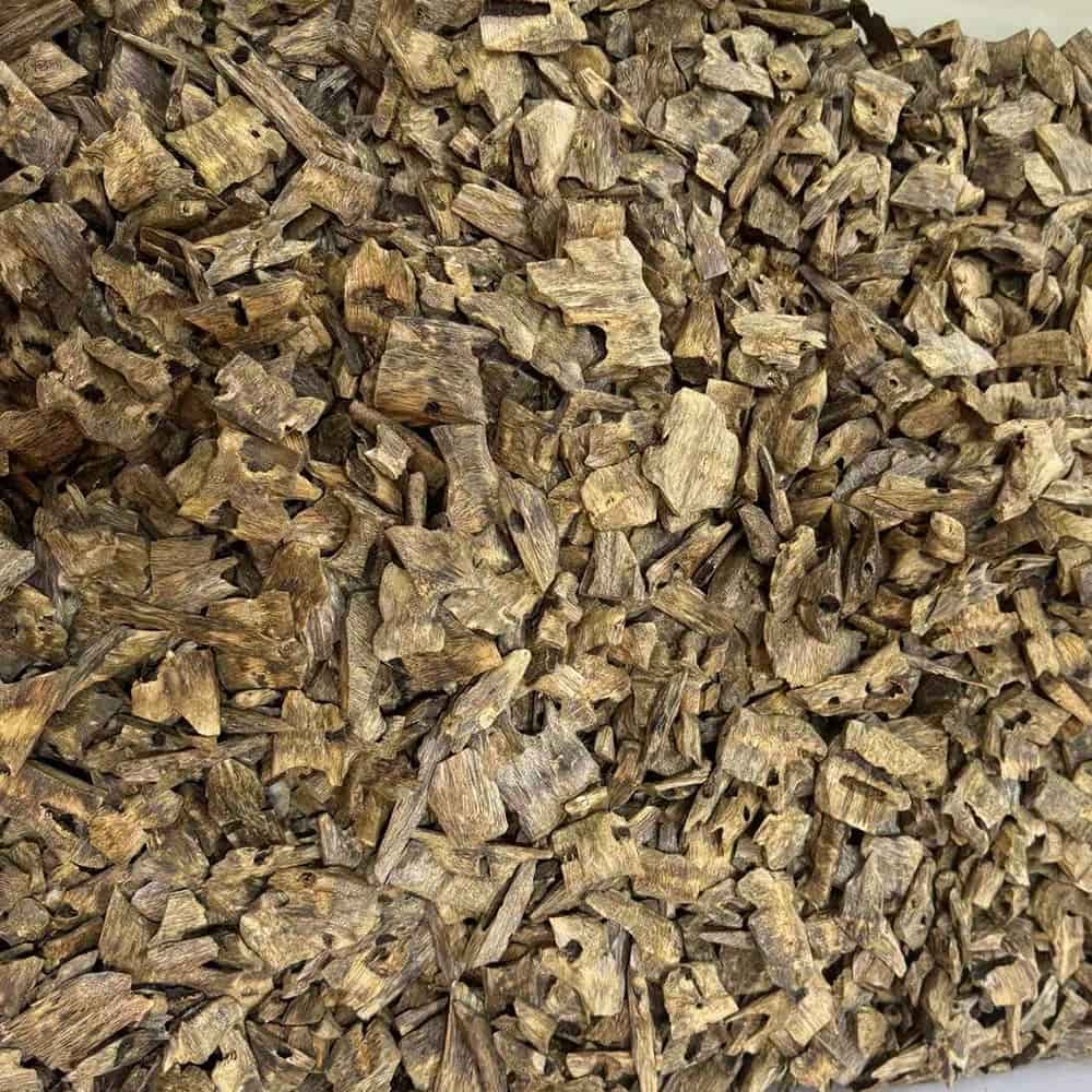 High oil tree chips large