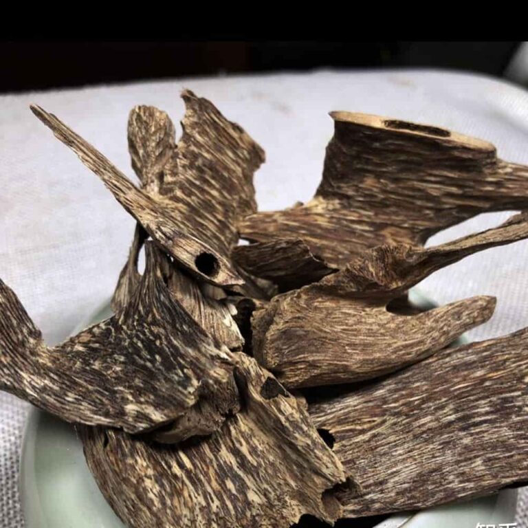 agarwood Blocks(agarwood pieces)