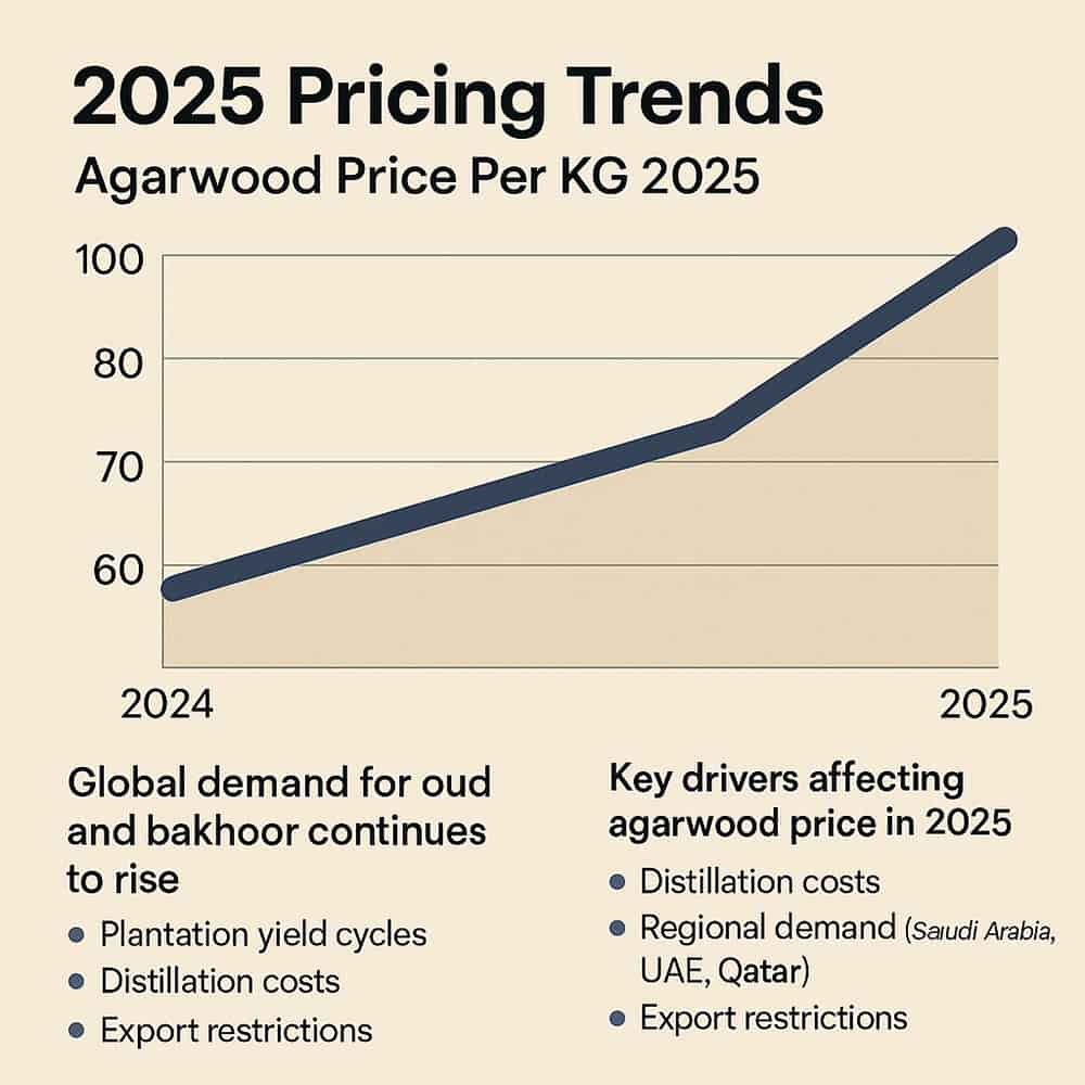 Agarwood Price Per KG – Wholesale Oud Chips, Wood & Pure Oud Oil Supplier 9 agarwood price per kg 2025