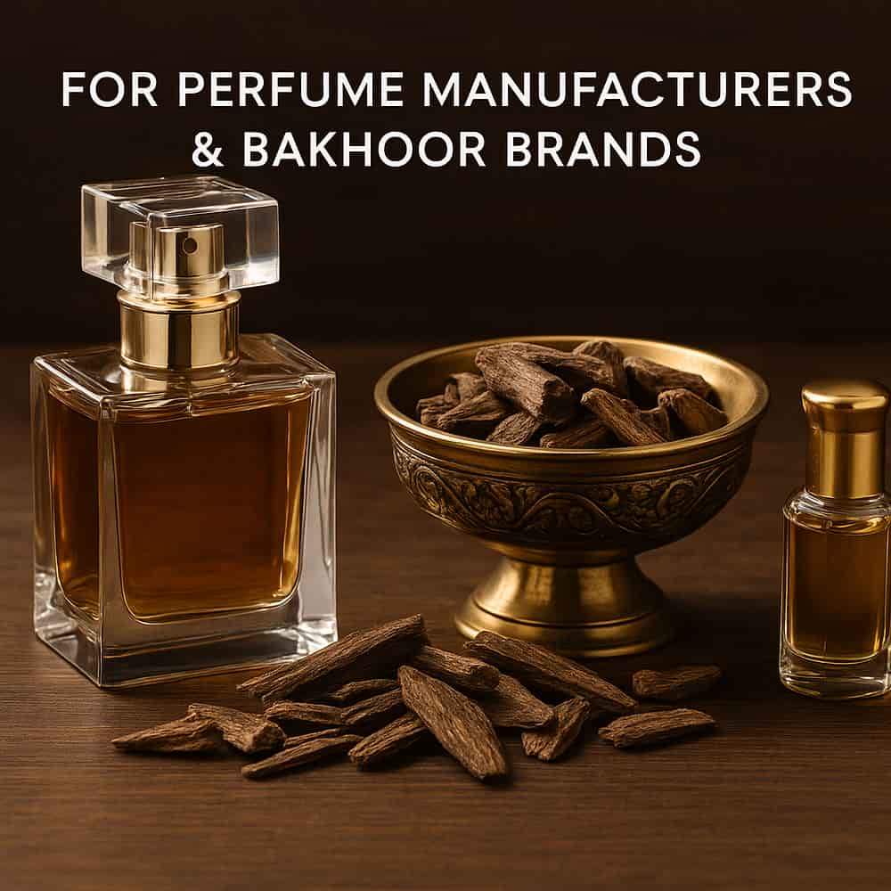 Agarwood Price Per KG – Wholesale Oud Chips, Wood & Pure Oud Oil Supplier 10 best barkhoor